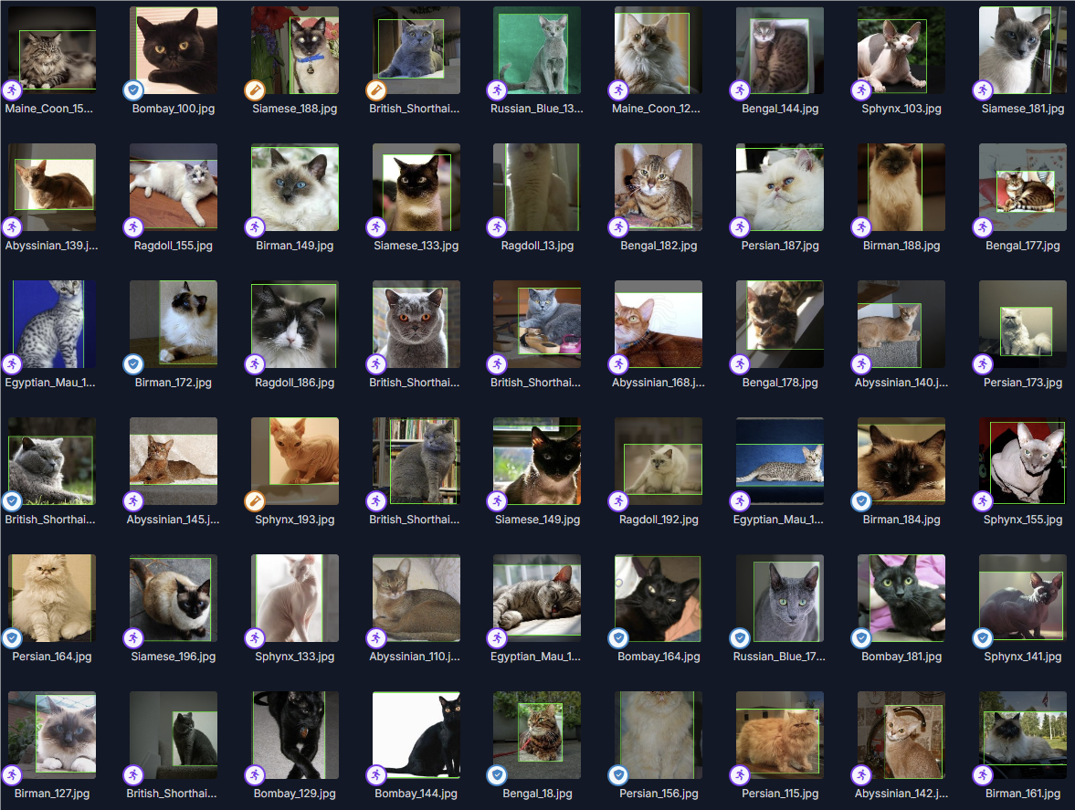 猫咪YOLO数据集 - 免费分享高质量计算机视觉训练资源