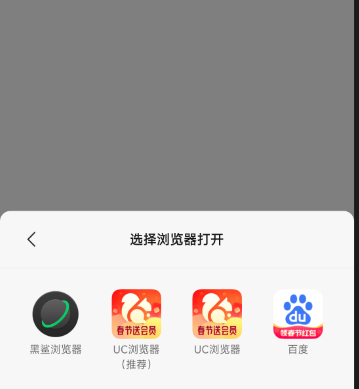 21142544869