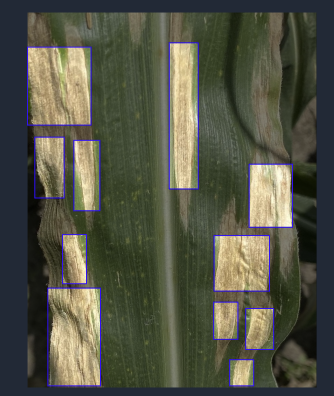 e1a57076-f61f-47e1-bd61-3f4d70ed4929