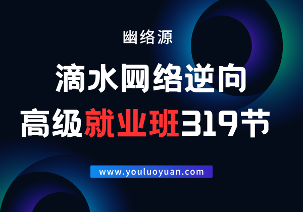 滴水网络逆向高级就业班319节 - 完整逆向工程电子资料 | 幽络源