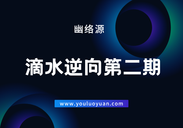 滴水网络逆向第二期22课 - 专业逆向工程电子资料 | 幽络源