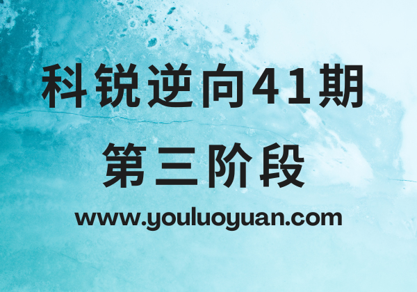 科锐逆向41期第三阶段专业教程 - 幽络源分享汇编与系统内核电子资料
