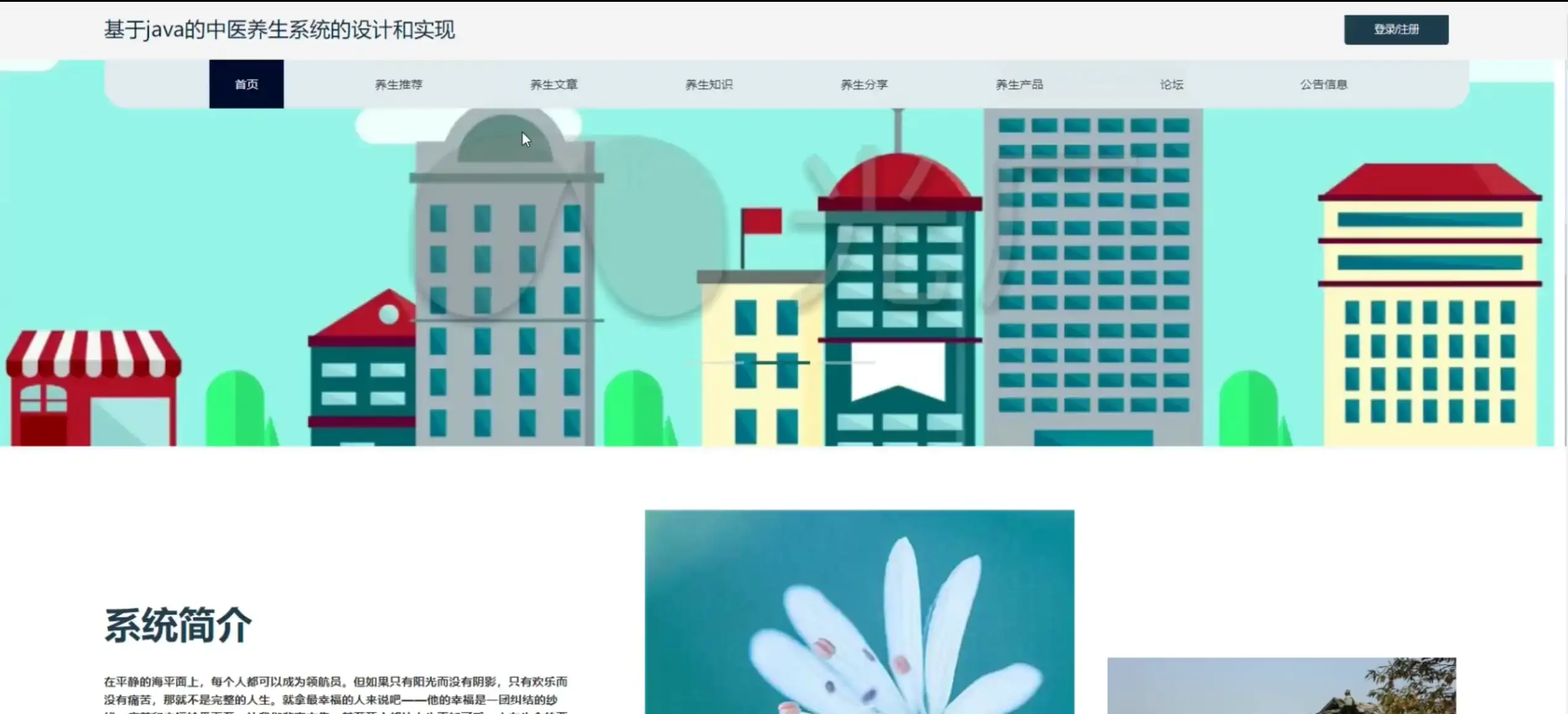 SpringBoot+Vue中医养生系统源码 | Java毕设健康类项目免费下载 - 幽络源